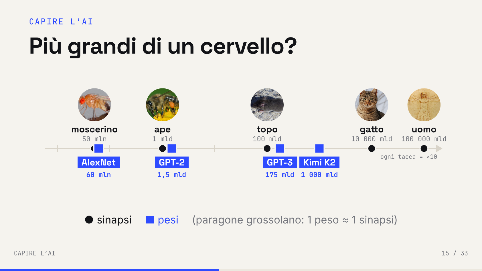Slide 29